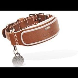 Link AKC Smart Dog Collar